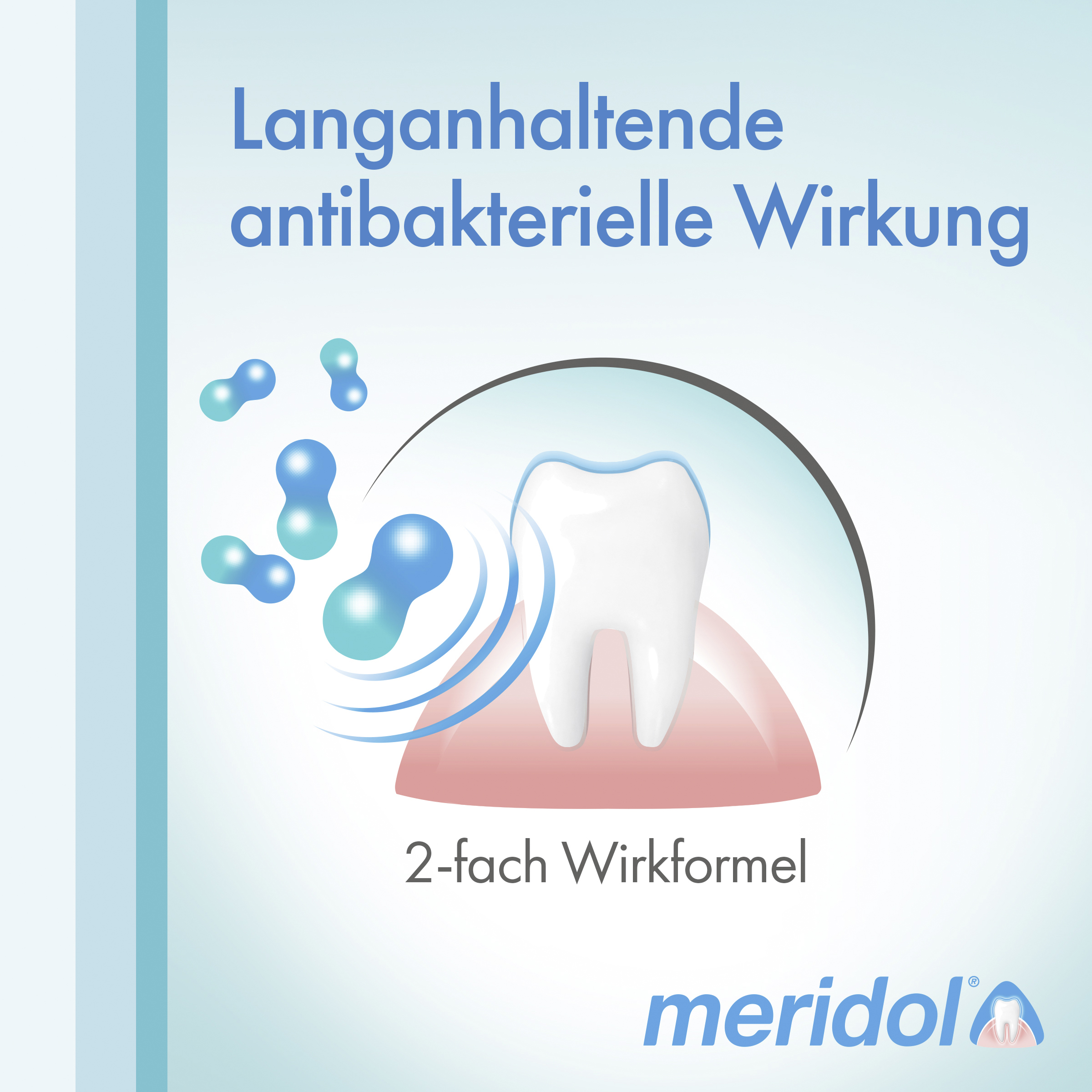 online meridol kaufen Doppelpack Zahnpasta